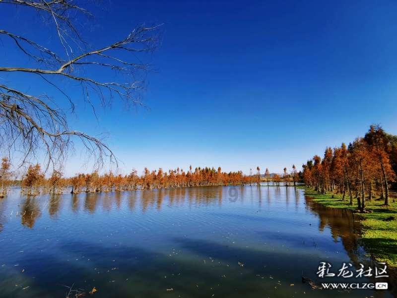 鸡皮肤是什么原因引起的.!游戏画面